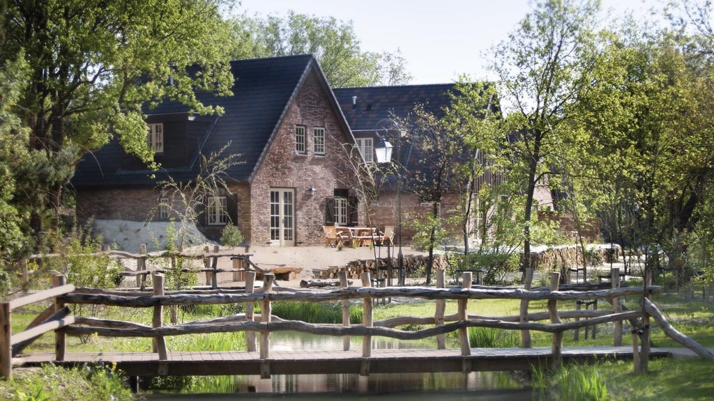 Een 8 persoons allergeenarm Boshuys in Efteling Bosrijk