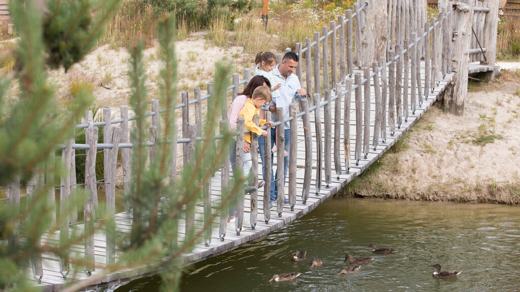 Gezin kijkt naar eendjes bij Loonsche Land